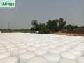 best-quality-silage-small-0