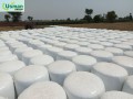 best-quality-silage-small-2